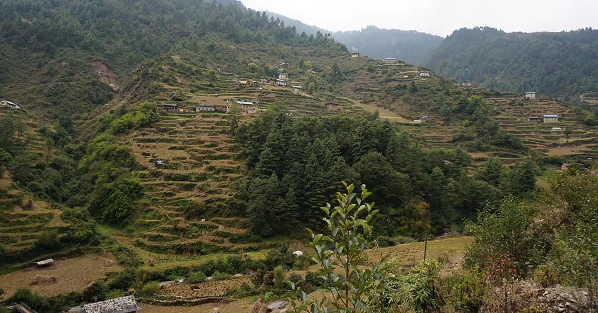 Pikey Peak Trek Adventure