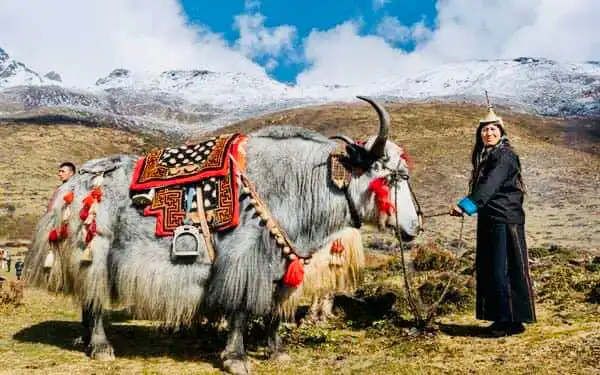 Tibet Tour