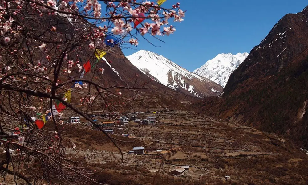 Langtang village